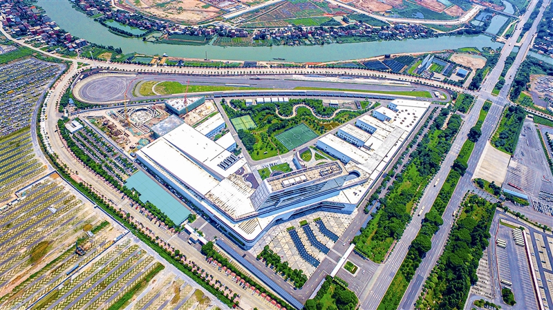 广州市2021年经济总量_2021年广州市花市