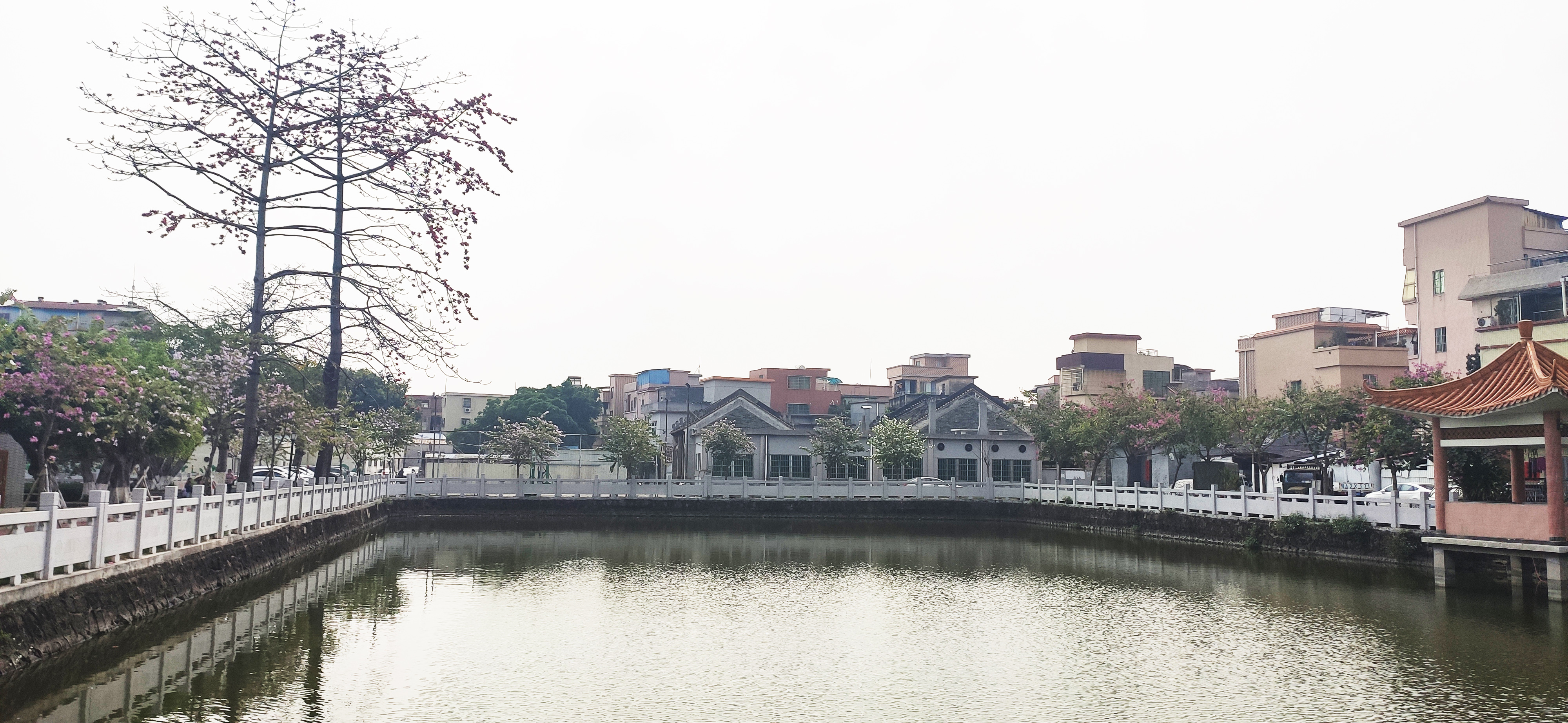 乡村一角.jpg