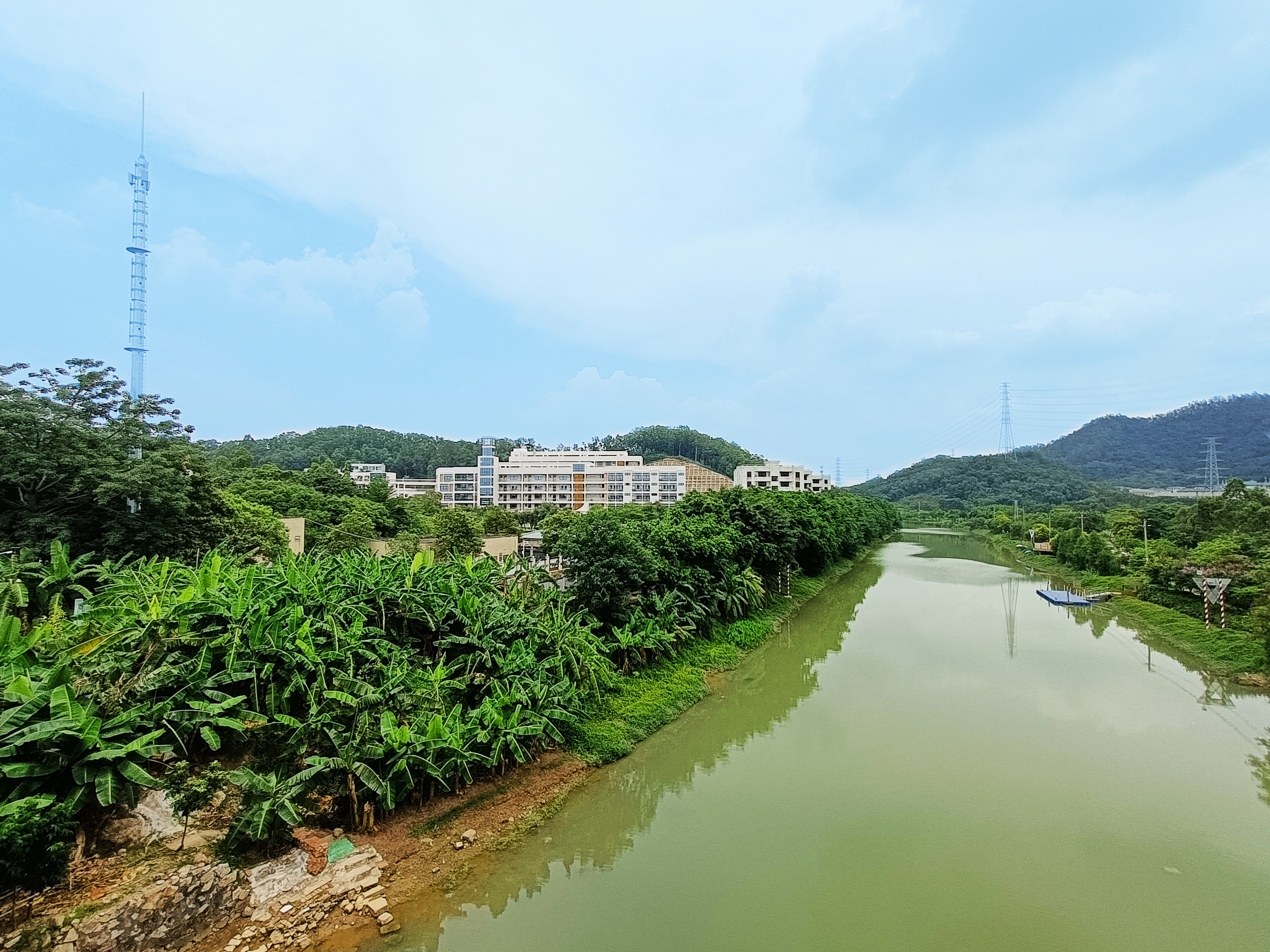 波平如碧镜的龙湾涌1.jpg