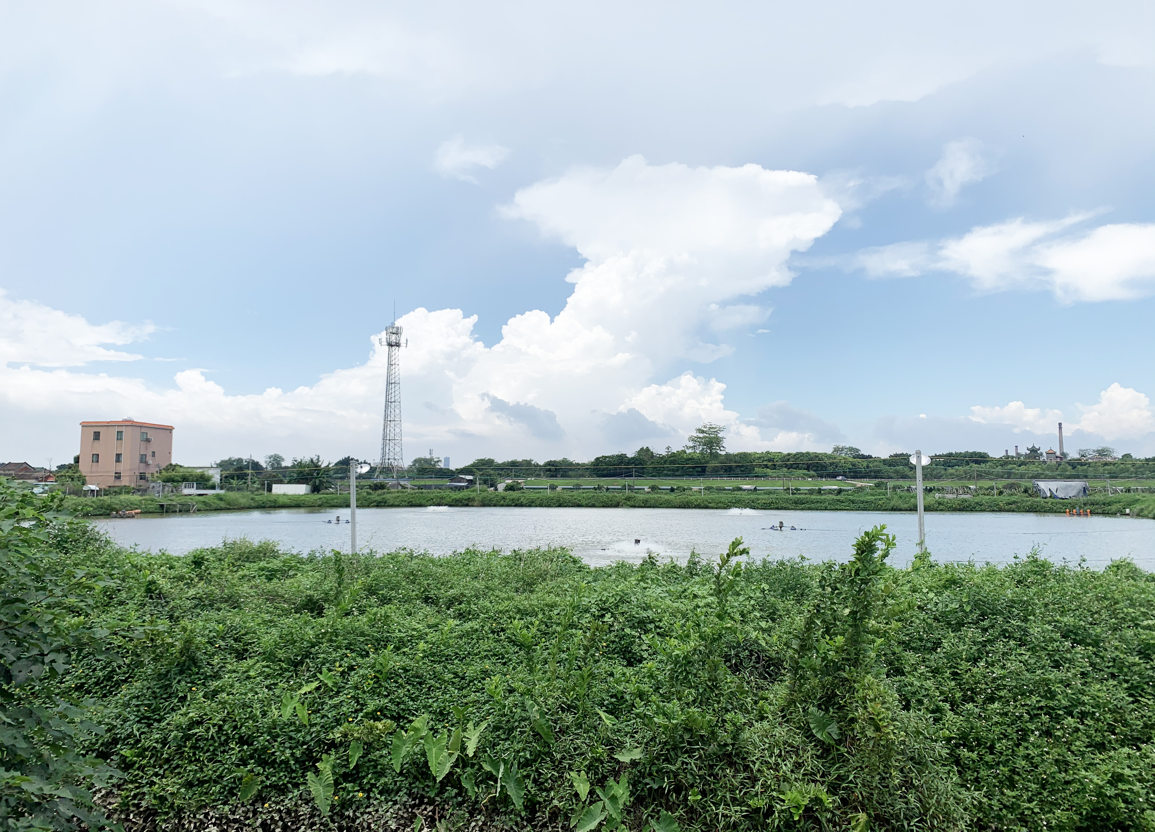 鱼塘养殖1.jpg