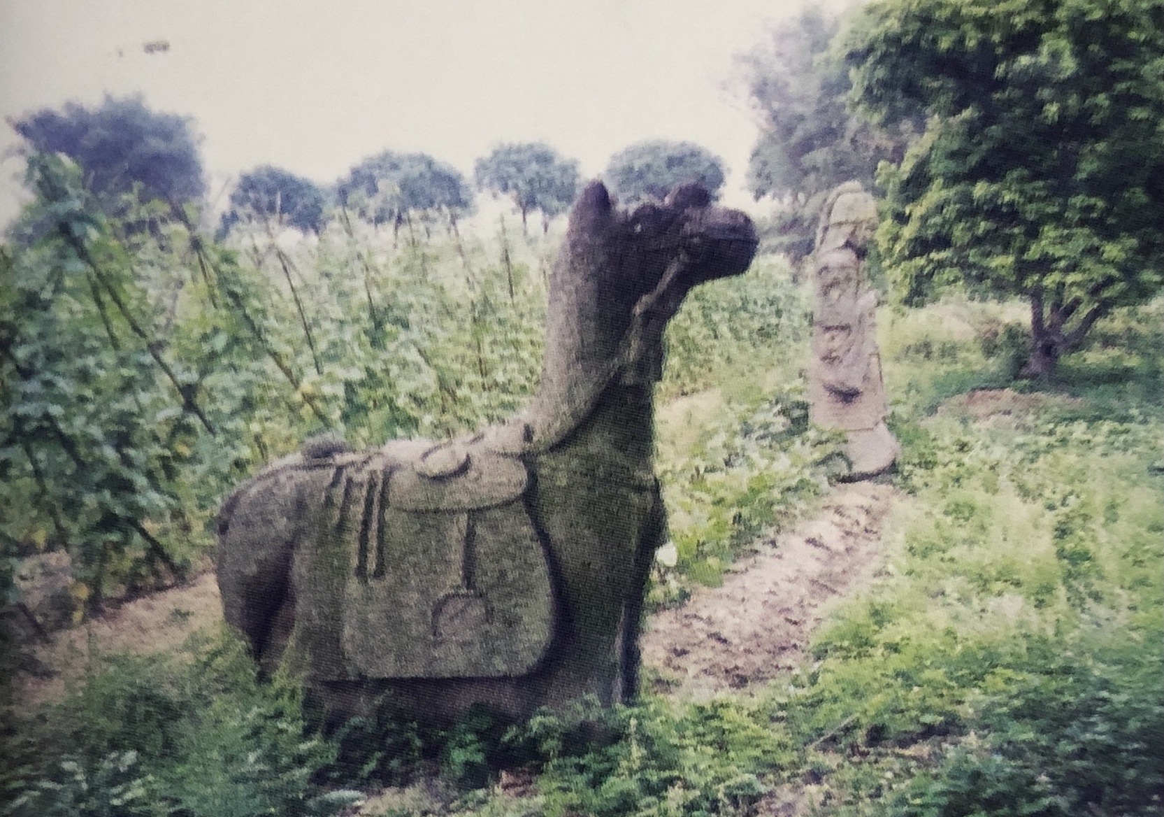 南亭村宋地明代古墓.jpg