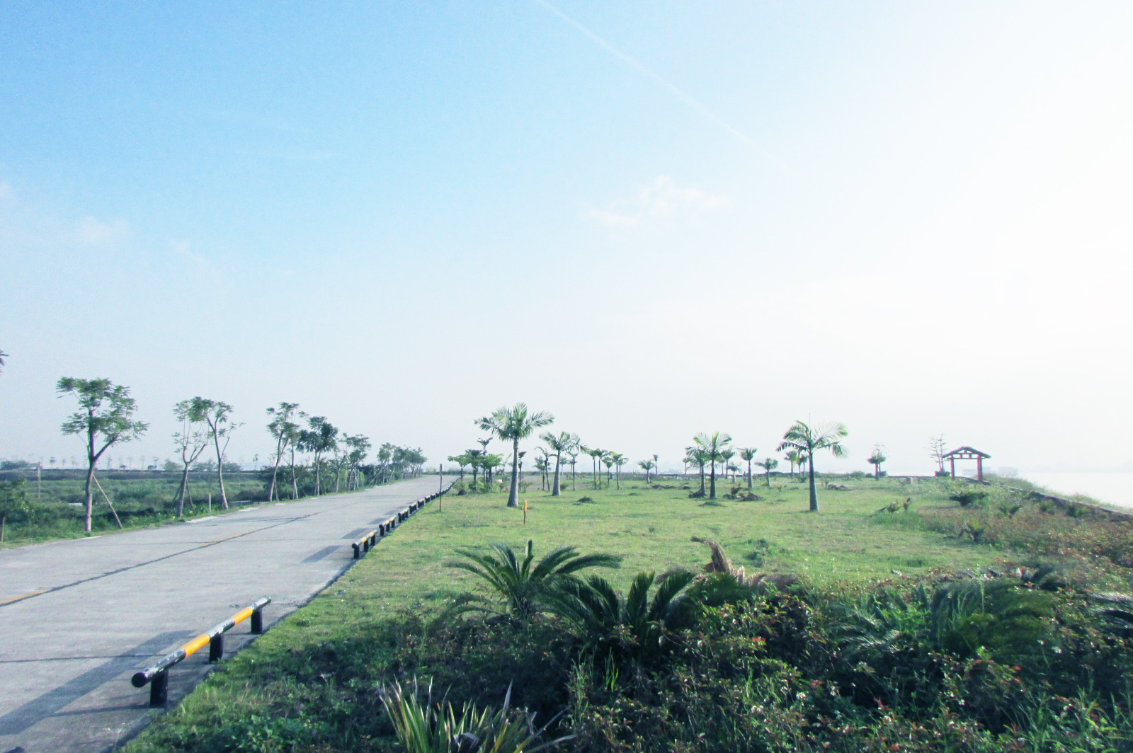 江鸥村环岛路3.JPG