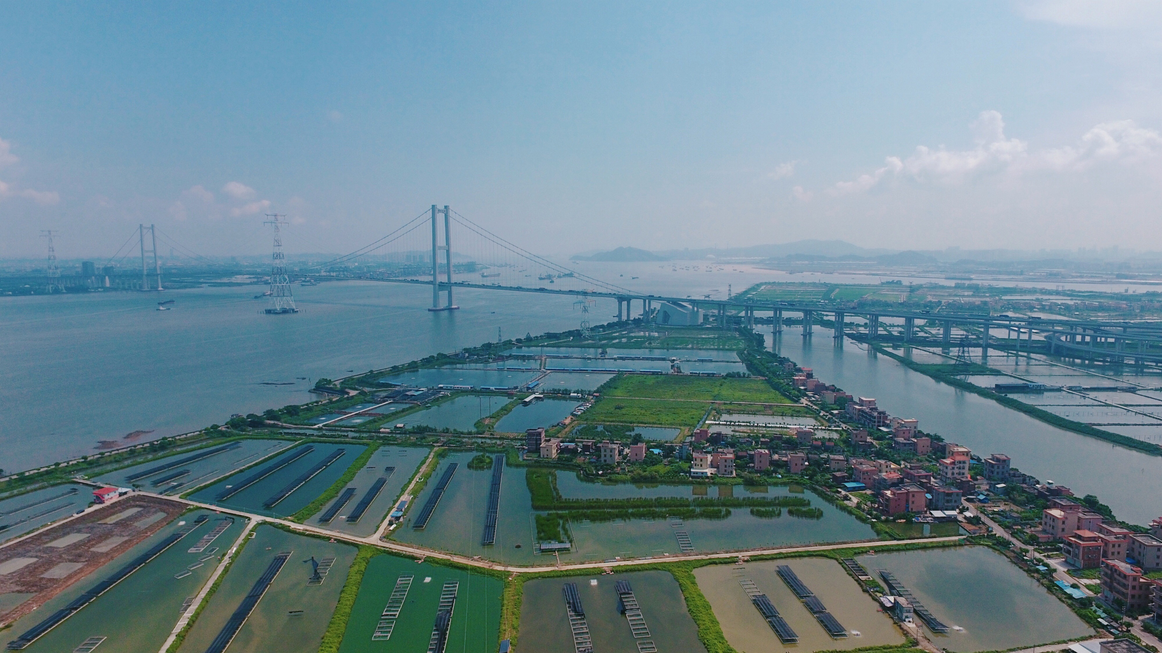 广东金洋养殖基地全貌.jpg