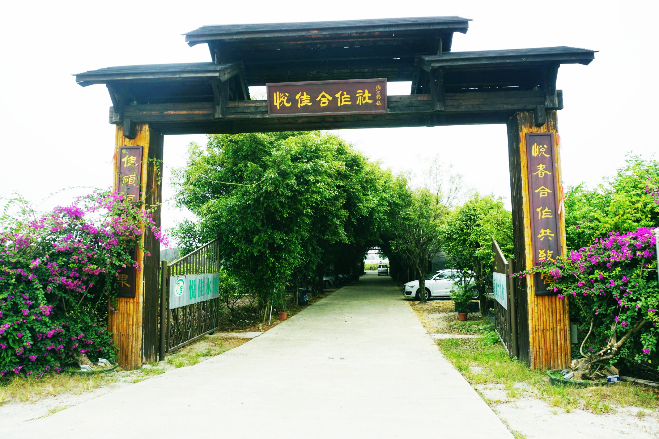 图片19.png