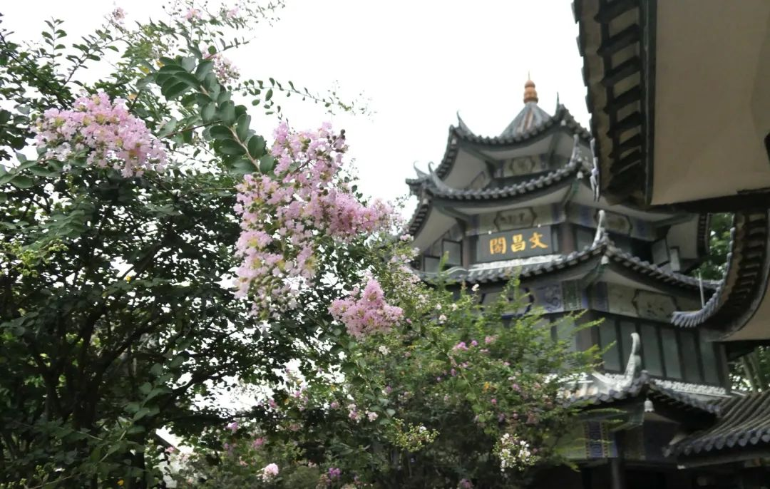 图片11.png