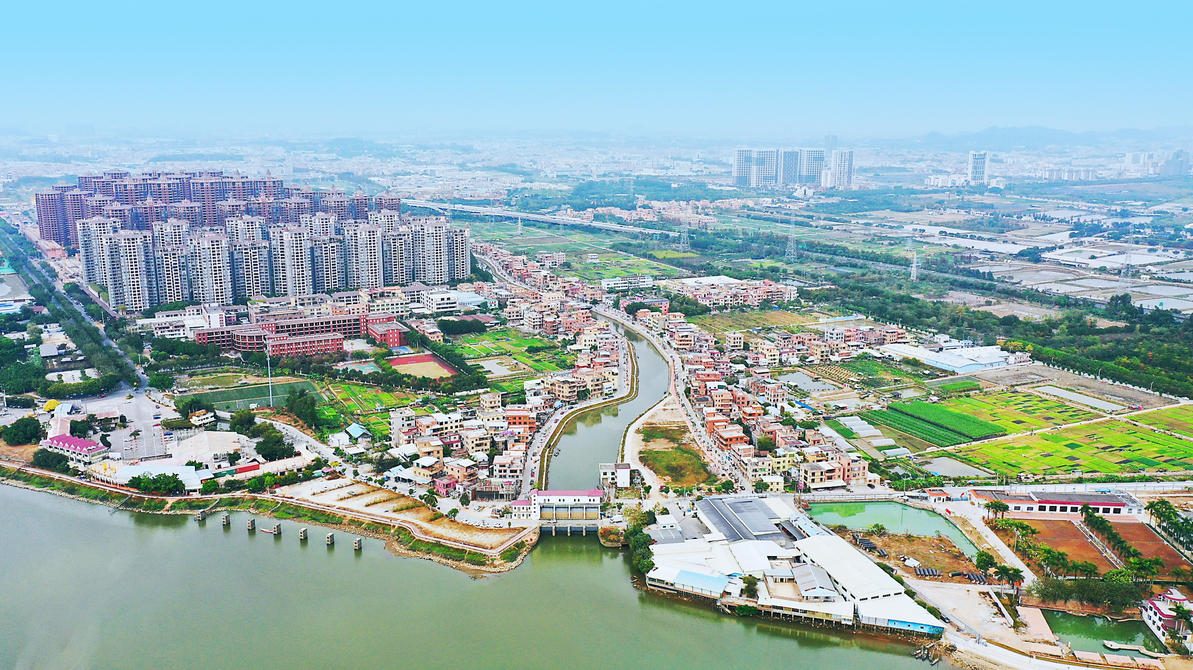 雁洲村航拍图2.jpg