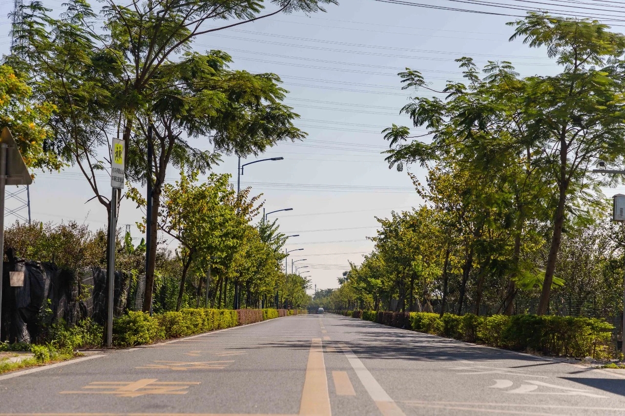大刀沙村道.jpg