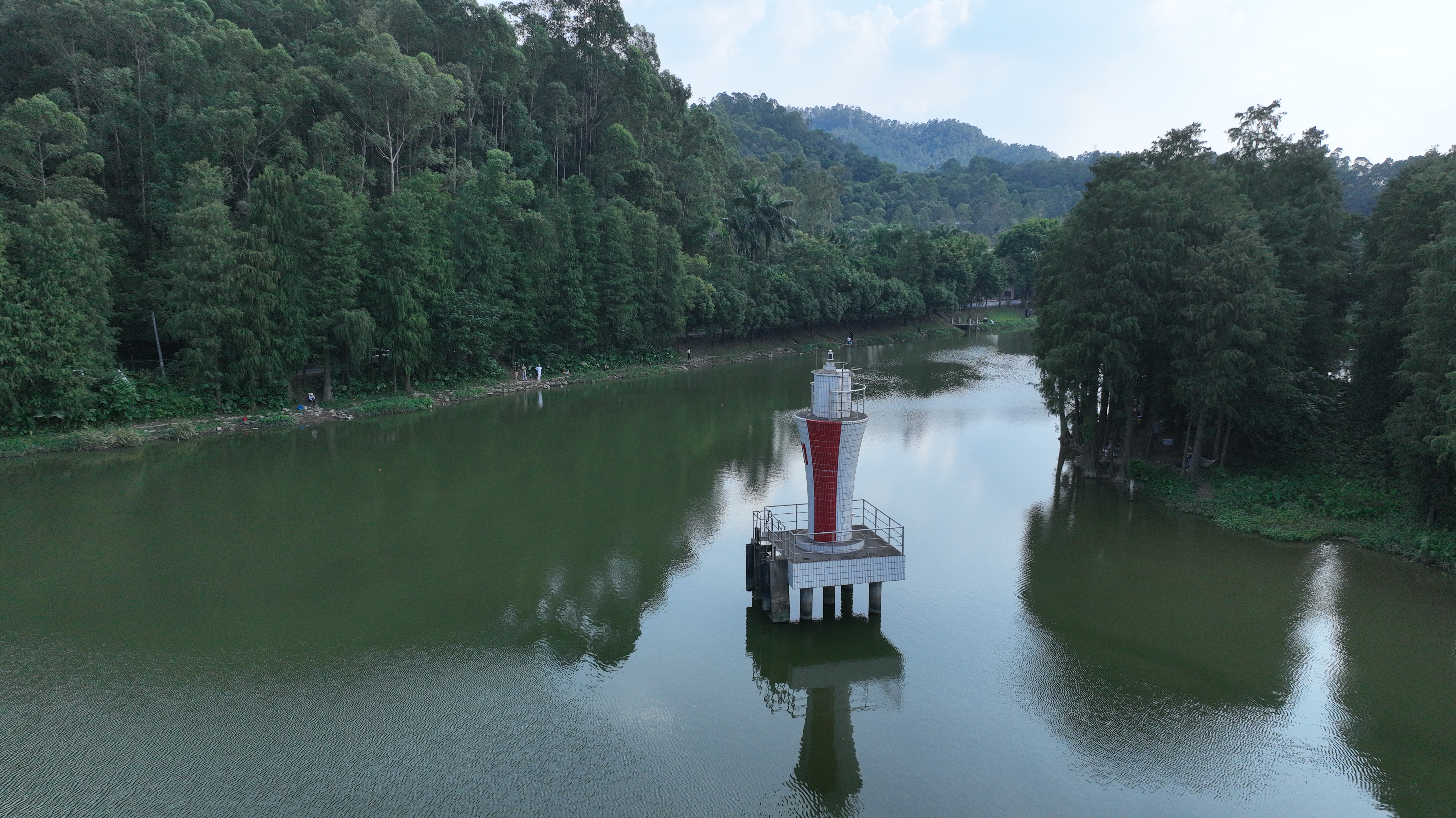 龙湾湿地.jpg
