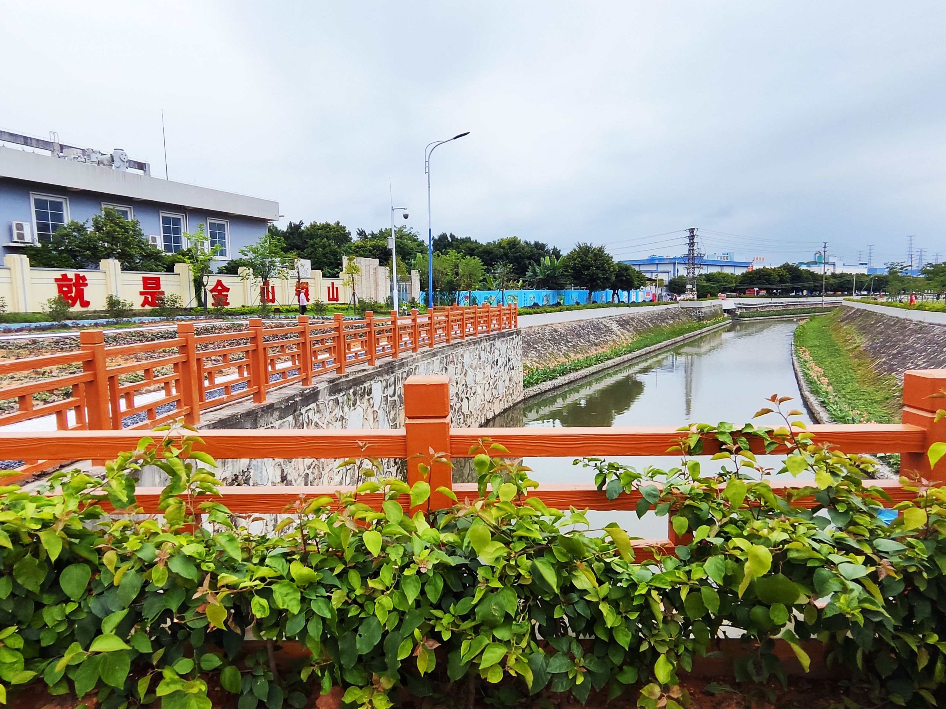 大龙街河涌整治成效5.jpg